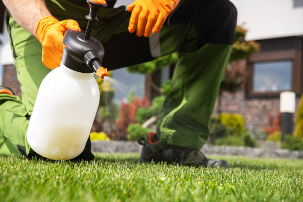 Best Mosquito Control Services  in Karns, TN