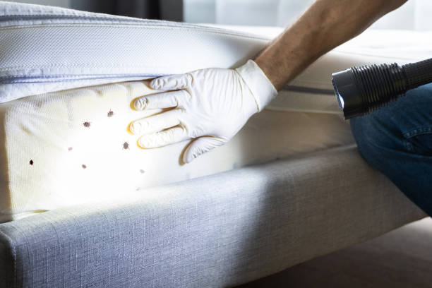 Pest Control Cost in Karns, TN
