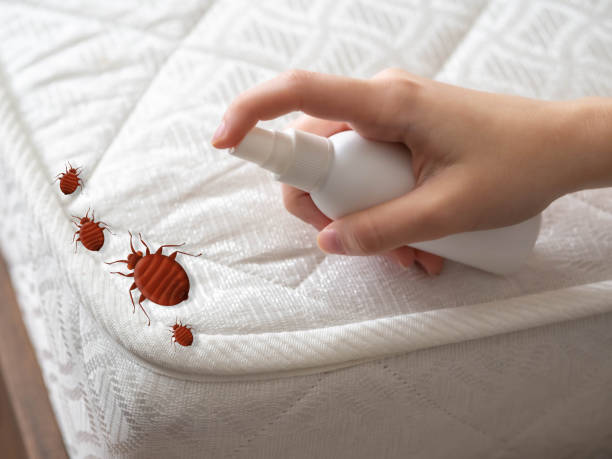 Best Pest Removal Services  in Karns, TN