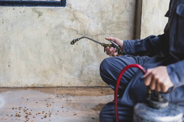 Best Wasp Removal Services  in Karns, TN
